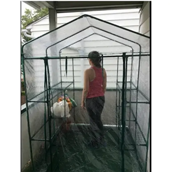 Home-Complete Walk in Greenhouse with PVC Cover Clear image {5}