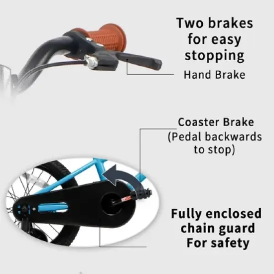 Petimini BP1001YD-2 16 Inch BMX Style Kids Bike with Removable Training Wheels and Rear Coaster Brakes for Kids 4-7 Years Old, Blue image {3}