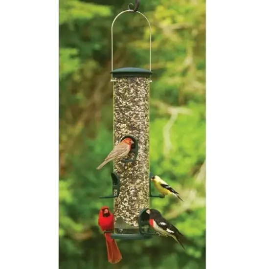 Aspects Spruce Quick Clean Big Tube Feeder, Large image {1}