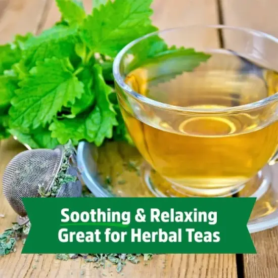 Back to the Roots Organic Lemon Balm Wellness Planter Grow Kit with Pot Soil and Seeds image {4}