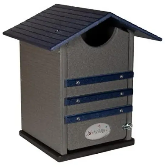 Ultimate Poly Screech Owl or Saw-Whet Owl House Nesting Box image {10}