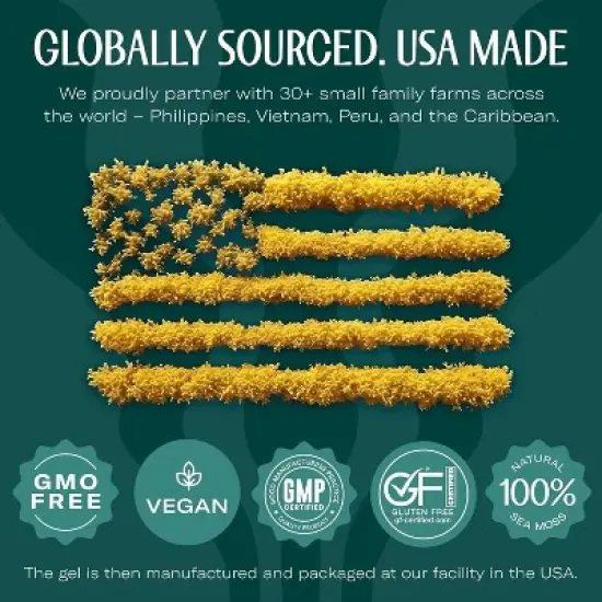 MANGO & PINEAPPLE SEA MOSS GEL image {4}