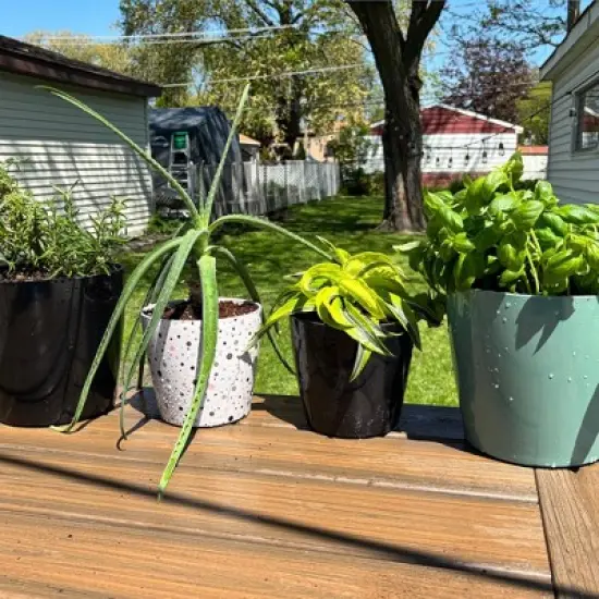 Tierra Garden 7" Round Self-Watering Bamboo Pot image {7}