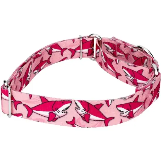 Country Brook Petz Pink Sharks Martingale Dog Collar and Leash image {2}