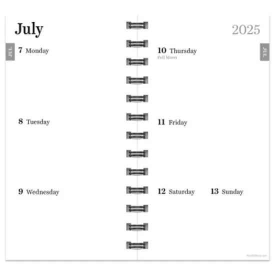 TF Publishing July 2025 - June 2026 Night Sky Small Weekly Monthly Planner image {2}