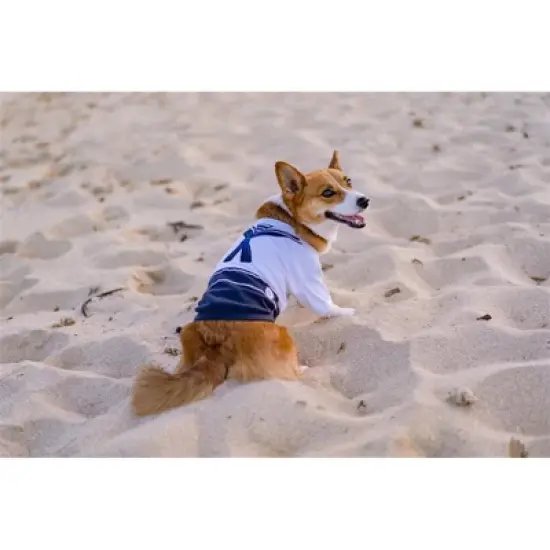 Parisian Pet 'Sailor Dog' Halloween Costume - Navy Blue Sailor Outfit for Dogs & Cats image {3}