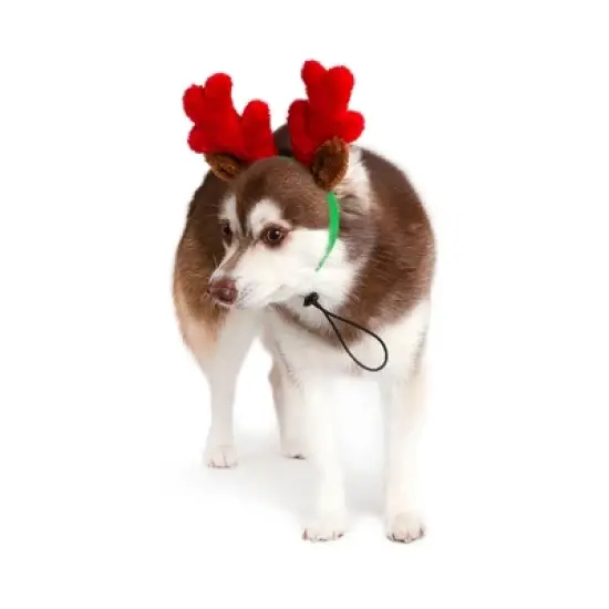 Midlee Christmas Reindeer Small Dog Antlers image {2}