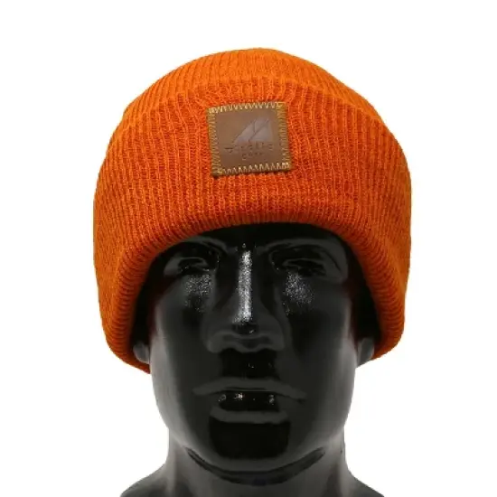 Arctic Gear Wool Watch Cap image {1}