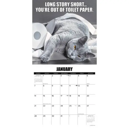 Willow Creek Press 2024 Wall Calendar 12"x12" Cat-Astrophe image {2}
