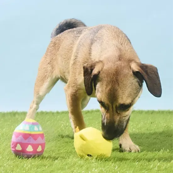 BARK Easter Chickie Poo Dog Animal Ball Toy - 2pc image {3}