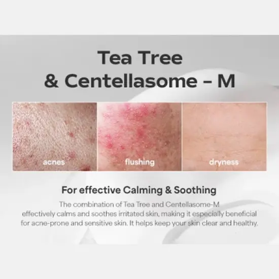 SUNGBOON EDITOR Deep Collagen Overnight Facial Mask - CICA Teatree image {3}