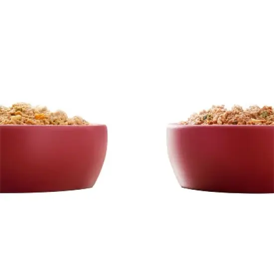 Purina ONE Natural Pat&eacute; Classic Ground Entr&eacute;e Variety Pack Rice, Chicken and Beef Flavor Wet Dog Food - 13oz/6ct image {1}