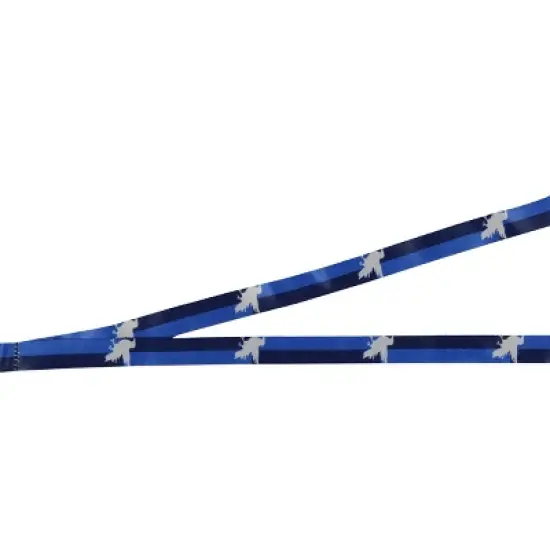 Harry Potter Ravenclaw Lanyard Multicolor 25" w/ Charm and Detachable ID Holder image {2}