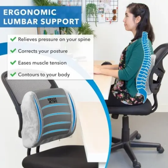 Mount-It! ErgoActive Lumbar Support Pillow, Memory Foam image {2}