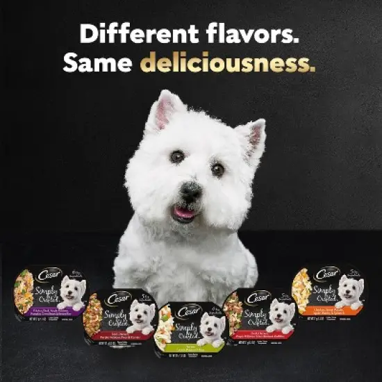 Cesar Simply Crafted Variety Pack Small Breed Wet Dog Food - 1.3oz/8ct image {7}