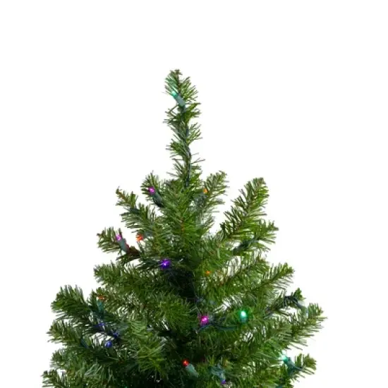 Northlight 2' Prelit Artificial Christmas Tree Canadian Pine - Multicolor LED Lights image {2}
