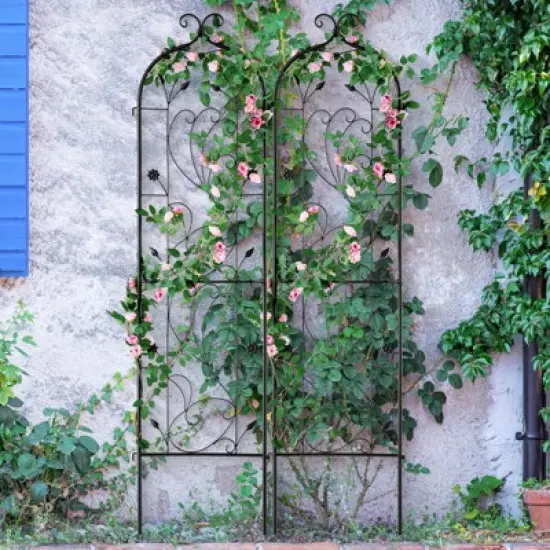 VEVOR Garden Trellis for Climbing Plants, 60 x 15 in, 2 Packs Rustproof Metal Garden Flower Trellis, Outdoor Climbing Rose Trellis Cucumbers Support image {1}