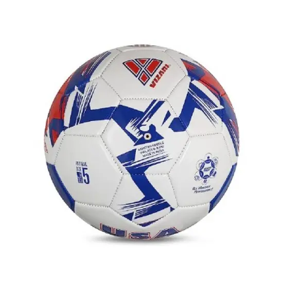Vizari Mini National Team Soccer Balls image {2}