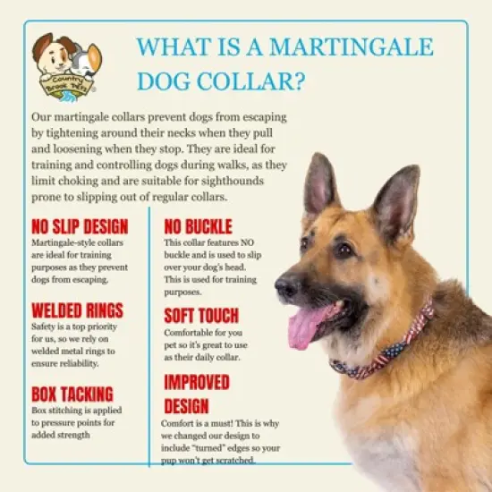 Country Brook Petz HossFit Jr Wide Martingale Dog Collar - Americana Collection image {3}