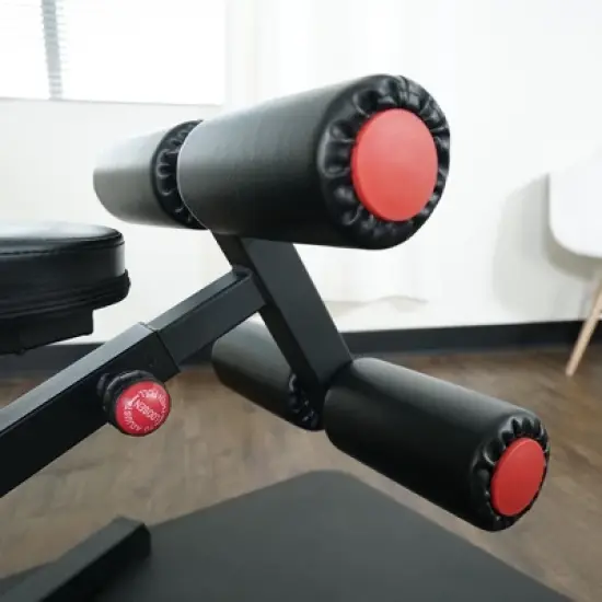 Sunny Health & Fitness Fully Adjustable Utility Weight Bench image {9}