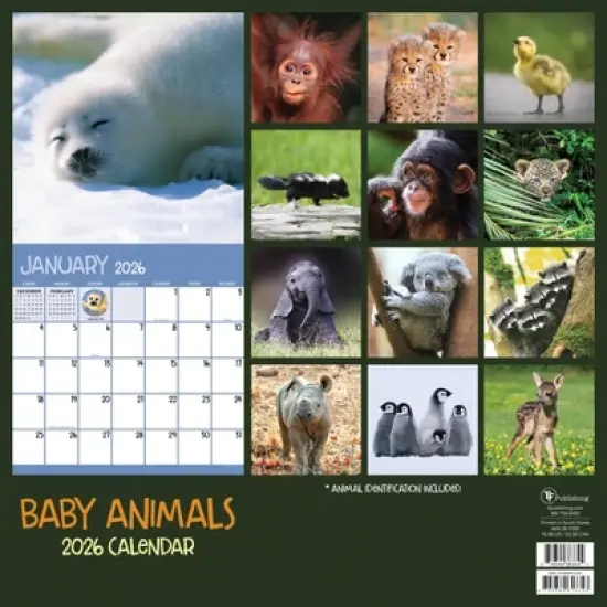 TF Publishing 13.5"x14.5" 2026 Baby Animals Wall Calendar image {4}