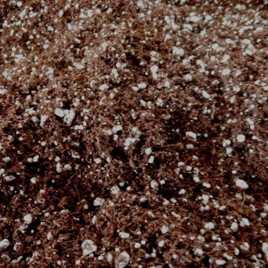 Roots Organics ROGF Green Fields Hydroponic Gardening Potting Soil, 1.5 Cu Ft image {4}