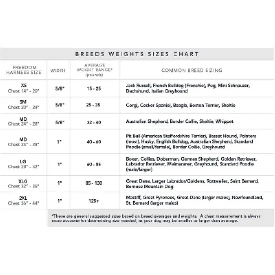 2 Hounds Design Freedom No-Pull Dog Harness Training Package (5/8") Small, Black image {5}