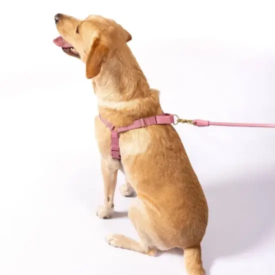 AWOO Roam No-pull Adjustable Recycled Dog Harness image {2}