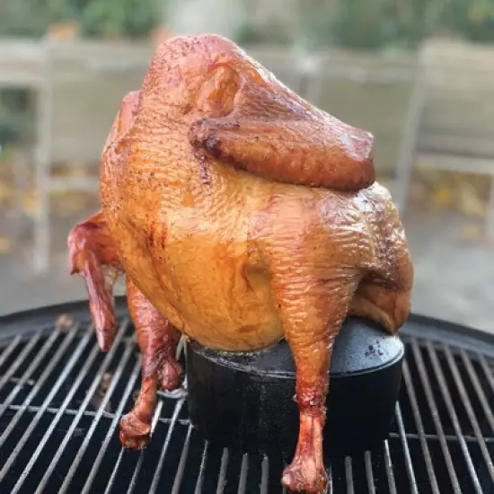 Cast Iron Beer Can Roaster - Outset image {4}