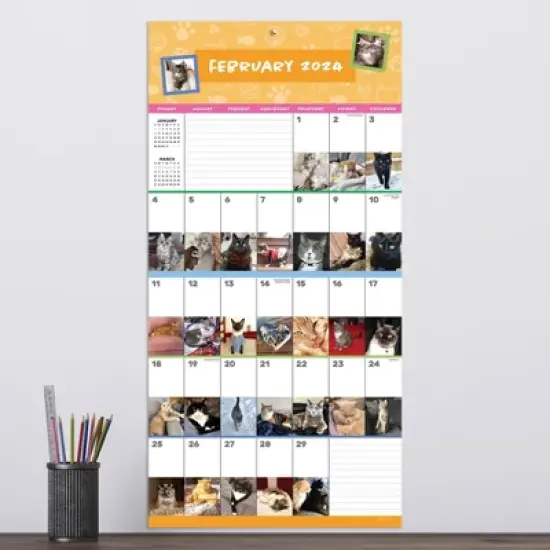 TF Publishing 2024 Wall Calendar 12"x12" Cat-A-Day image {2}