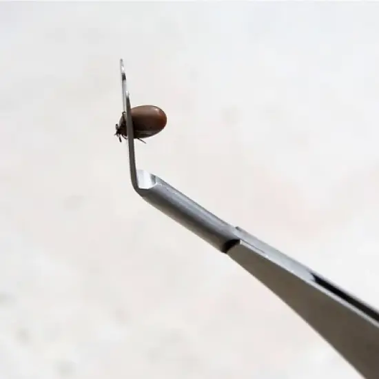 Bug Bite Thing Tick Remover Tool image {3}