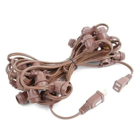 Novelty Lights Globe Outdoor String Lights with 25 In-Line Sockets Brown Wire 25 Feet image {3}