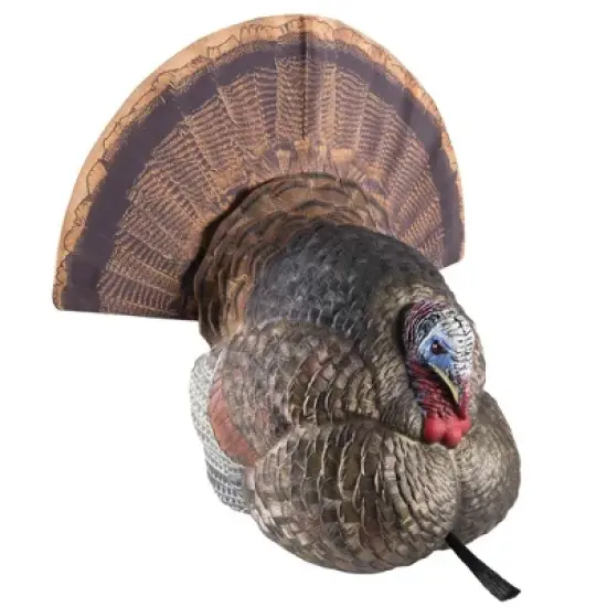 Avian X Lifelike Collapsible Decoy Strutter, Turkey Decoy image {2}