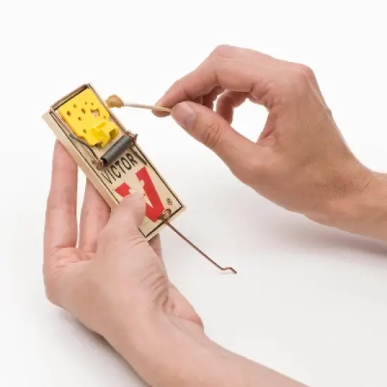 Victor Easy Set Mouse Traps - 2pk image {2}