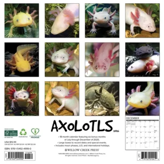 Willow Creek Press 2026 Axolotls Wall Calendar image {1}