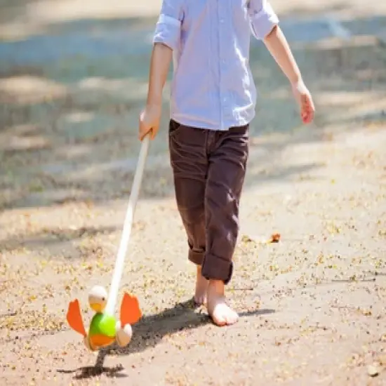 Plantoys| Push Along Duck image {6}