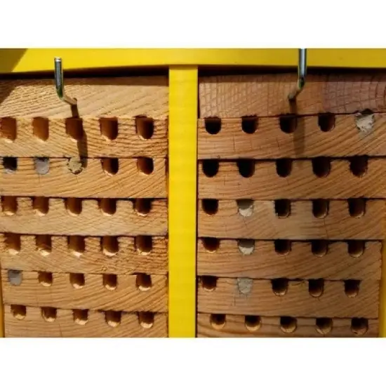 JCS Wildlife Double-Wide Large Poly Lumber and Pine Mason Bee House - Handmade in the USA image {7}