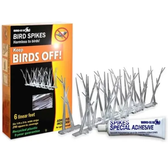 Bird-X 10" Stainless Steel Bird Spikes image {1}