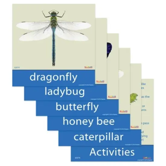Kaplan Early Learning Toddler & Preschool Garden Insects - Set of 5 image {1}