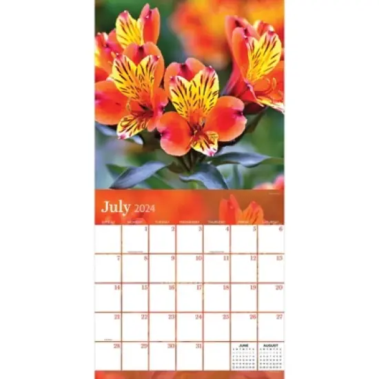 TF Publishing 2024 Wall Calendar 12"x12" Flowers image {1}