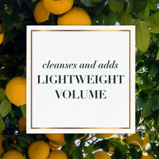 Herbal Essences bio:renew White Grapefruit & Mosa Mint Shampoo and Conditioner Bundle Pack - 27 fl oz/2ct image {4}