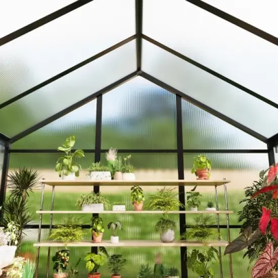 Greenhouse Outdoor - Polycarbonate Walk-in Garden Greenhouse with Roof Vent, Aluminum Frame & Lockable Door image {6}