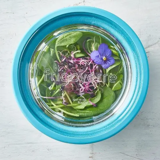 Bormioli Rocco Frigoverre Future 17.25 oz. Round Food Storage Container, Made From Durable Glass, Dishwasher Safe, Made In Italy,Clear/Teal Lid image {3}