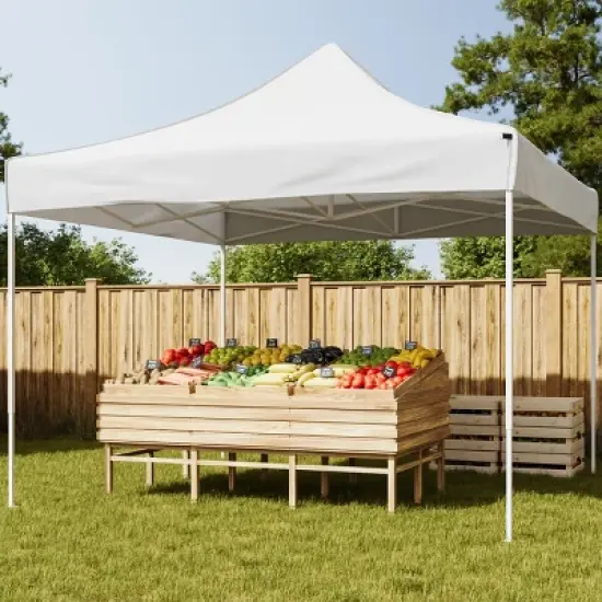 Stalwart 10x10 ft Pop Up Canopy Tent image {14}