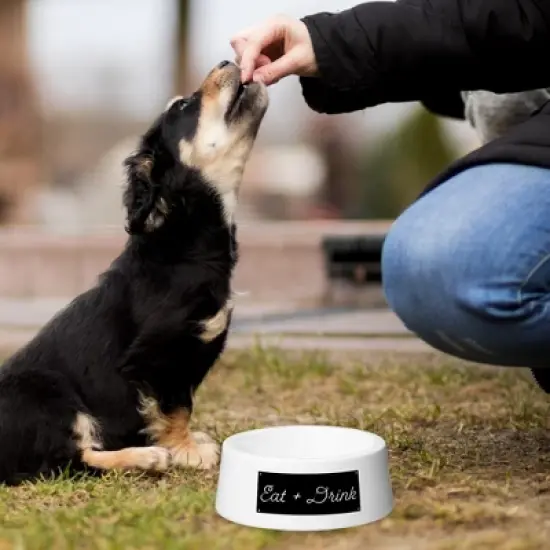 Amici Pet Ceramic Eat + Drink Bowl Large, Pet Food and Water Feeder, Anti-Slip Ceramic Treat Bowl, White Bowl, 24-Ounce image {3}