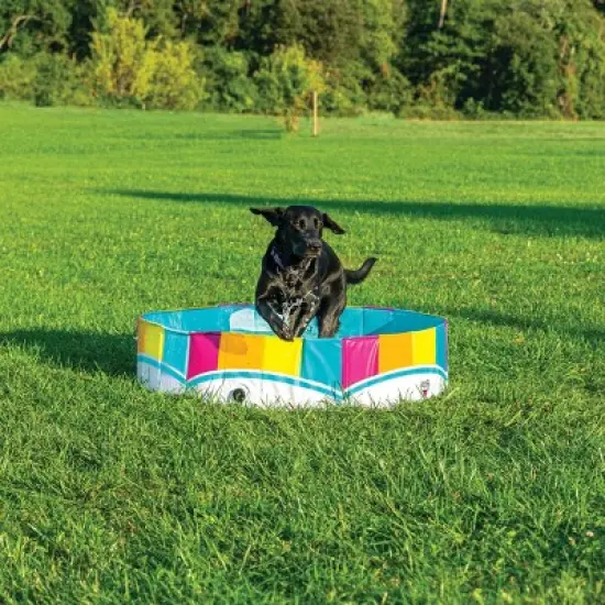 BigMouth Inc. Rainbow Foldable Hard Side Dog Pool image {8}
