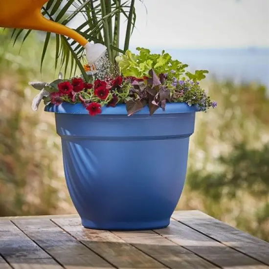 Bloem Classic Plastic Watering Can, 2 Gallon image {3}