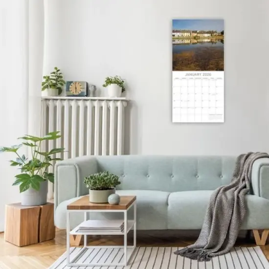 2026 Square Wall Calendar, Bull Terriers, 16-Month Animals Theme with 180 Reminder Stickers (12x12 In) image {1}