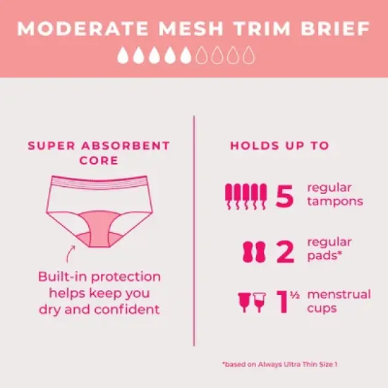 Proof Women's Mesh Trim Briefs, Moderate Absorbency Period Underwear - Black image {4}