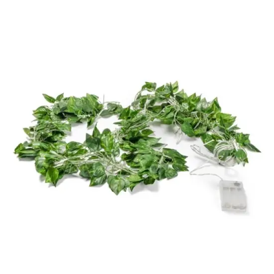 West & Arrow 5'x3.5' LED Vine Curtain String Lights Cool White Remote Control USB/Battery Powered image {2}